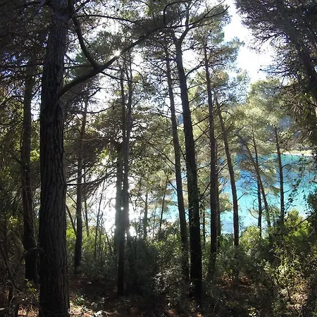 度假居 Poli Stavros (Ithaka)