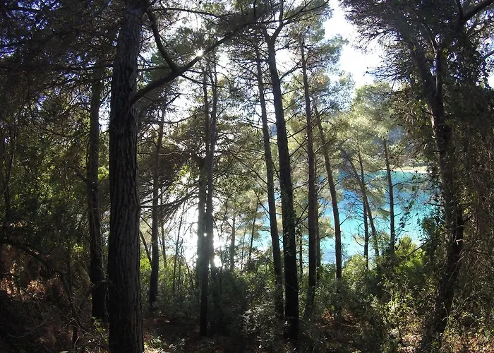 בית נופש Poli Stavros (Ithaka)